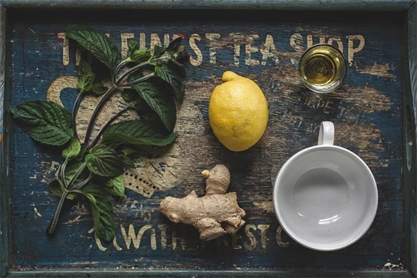 Craft Your Perfect August Garden To-Do List