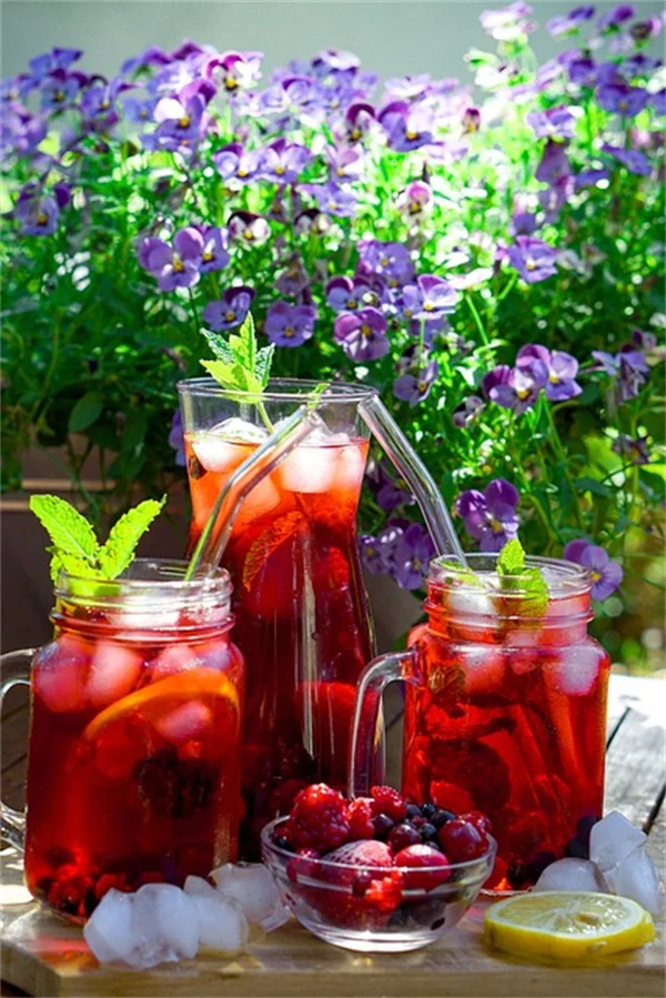Don’t Relax Yet: Essential July Garden Tasks for the Northeast