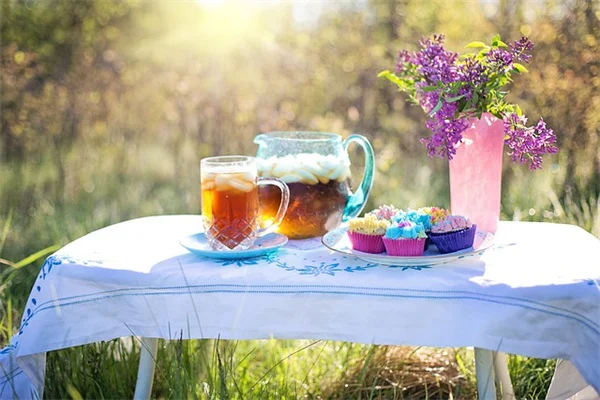 Rhododendron Scorched Leaves? It’s Actually Not a Disease — Here’s How to Fix It